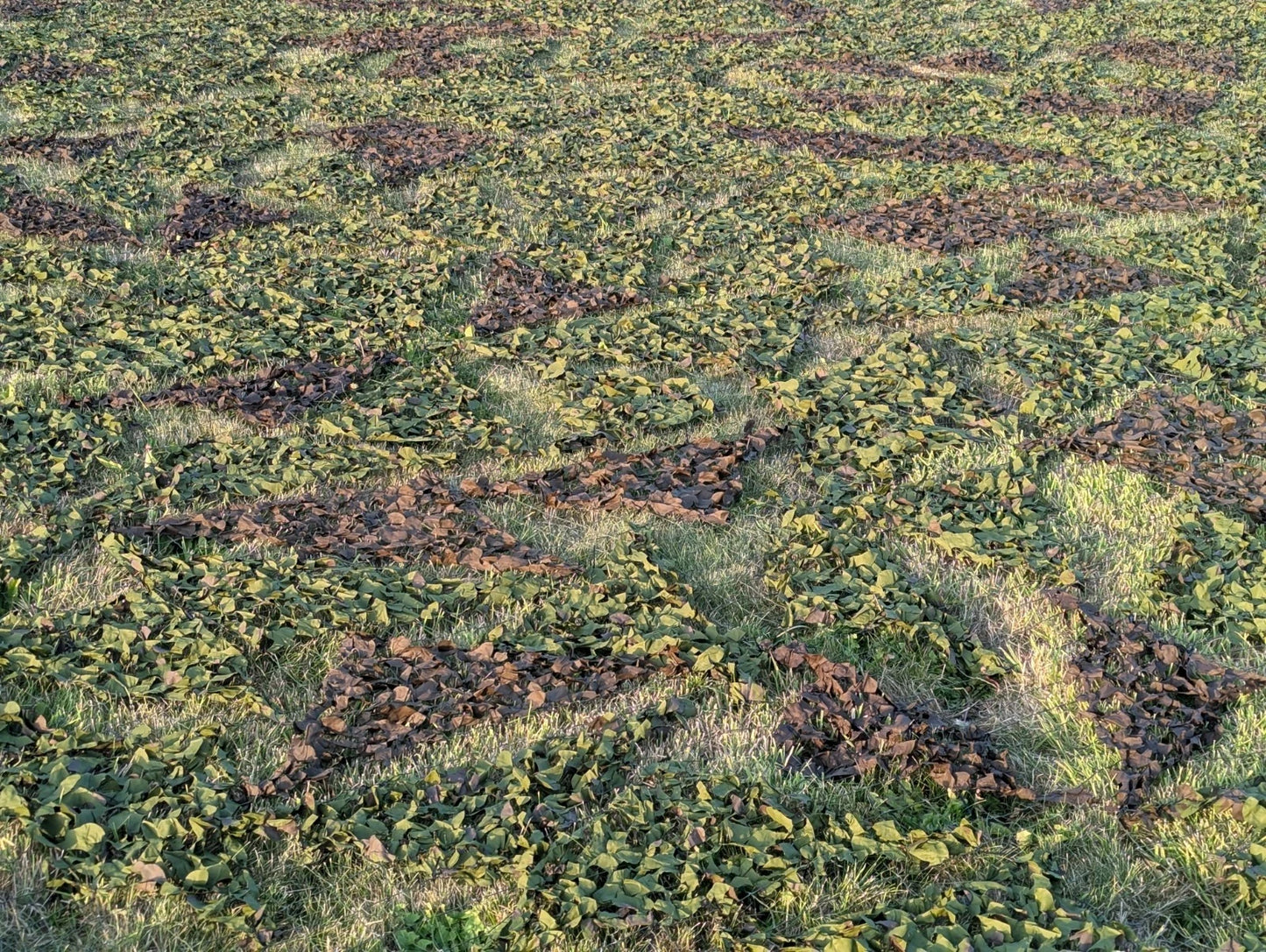 British Army MK7 Woodland Camo Camouflage Netting