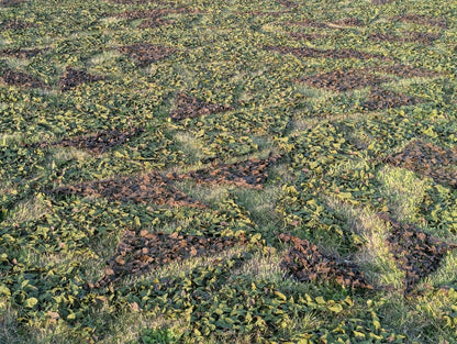 British Army MK7 Woodland Camo Camouflage Netting