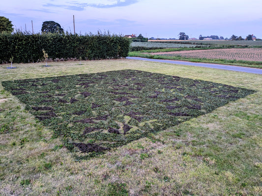 British Army MK7 Woodland Camo Camouflage Netting