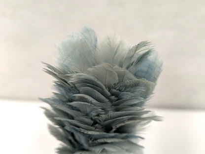 6 Scots Royal Regiment of Scotland RRS Grey Plume Feather Hackle