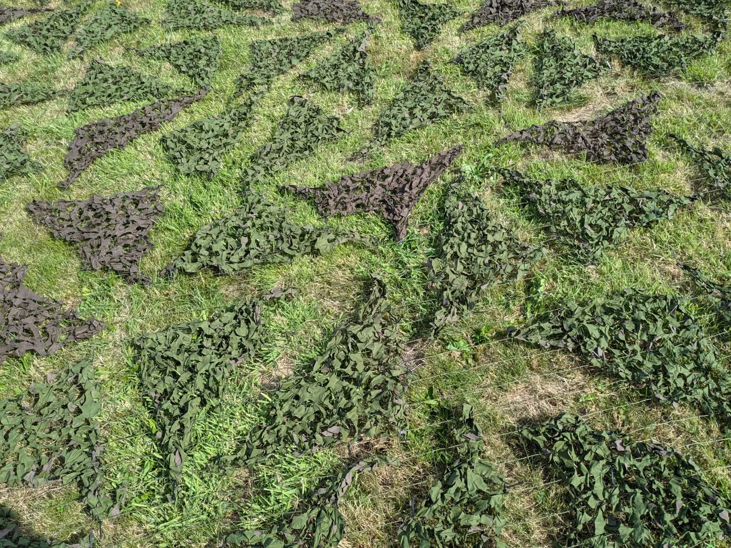 Woodland Camo Camouflage Netting 10m x 5m